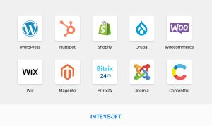 This image shows popular content management systems.
