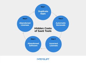 This image shows the top 5 hidden costs of SaaS tools. 